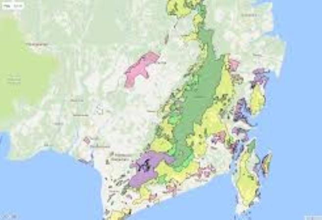 Luas Hutan Alam di Kalimantan Selatan Turun 62,8% Sejak 1990