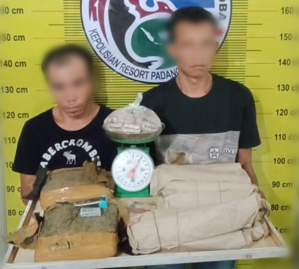 Operasi Antik Toba 2021, Dua Pelaku Diduga Edar Ganja Diciduk