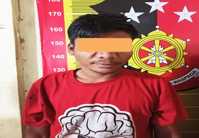 Larikan Anak Dibawah Umur, Pria Warga Batunadua Dibekuk Polisi