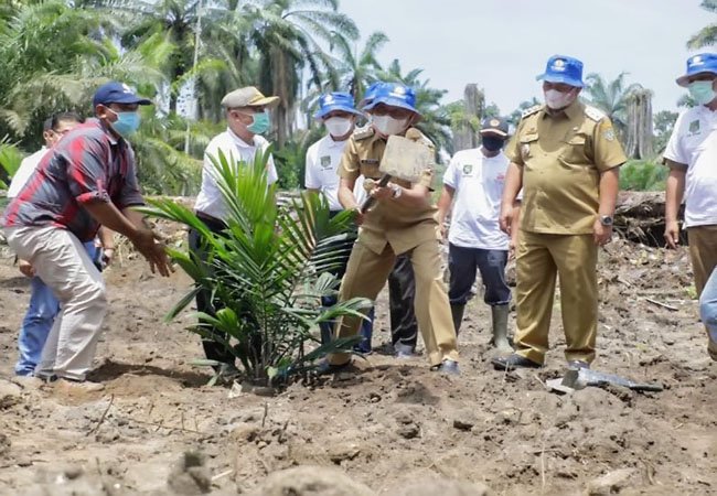 Bupati Asahan Hadiri Tanam Perdana Kemitraan