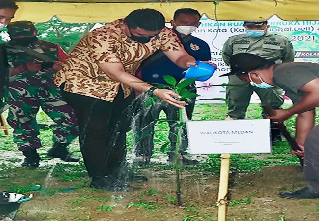 Bobby Nasution Tanam Bibit Mangga di Hutan Kota dan Tabur Benih Ikan ke Sungai Deli