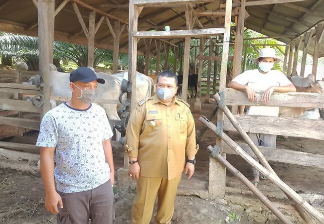 Bupati Tapsel Tinjau Kesiapan Qurban