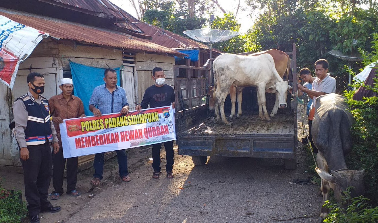 Sambut Idul Adha, Kapolres Padangsidimpuan Serahkan 7 Ekor Lembu ke Warga
