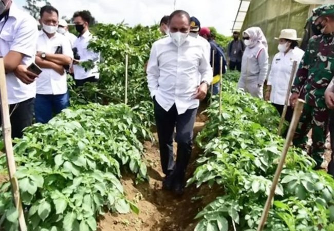Gubsu Dukung Tingkatkan Produksi Kentang di Karo