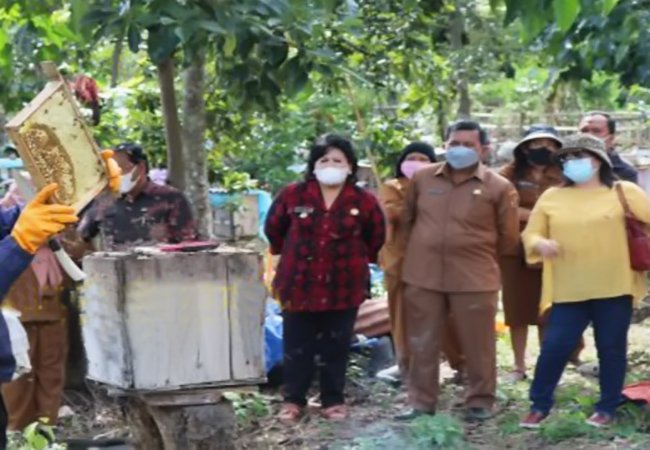 Bupati Karo Cory Sebayang Akan Berdayakan Peternak Lebah Desa Selandi
