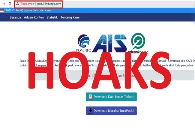 Satgas Covid-19 Sebut Situs Pedulilindungia.com Palsu