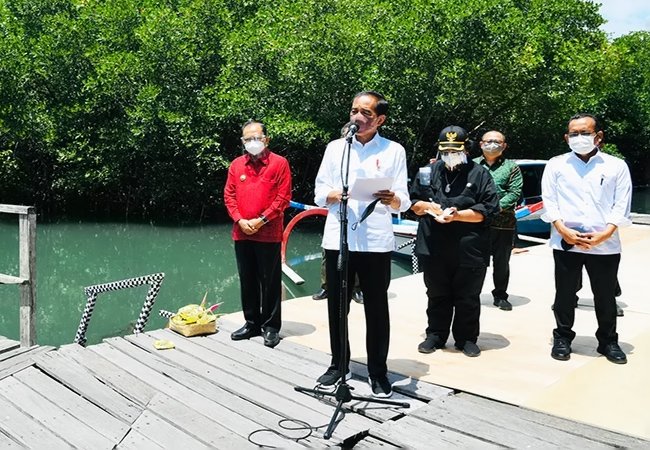 Model Rehabilitasi Mangrove di Bali Diharapkan Direplikasi Provinsi Lain