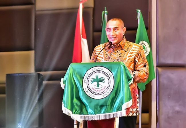 Tak Ada Minyak Goreng, Gubsu Sebut Ada Tiga Juta Hektare Kebun Sawit di Sumut