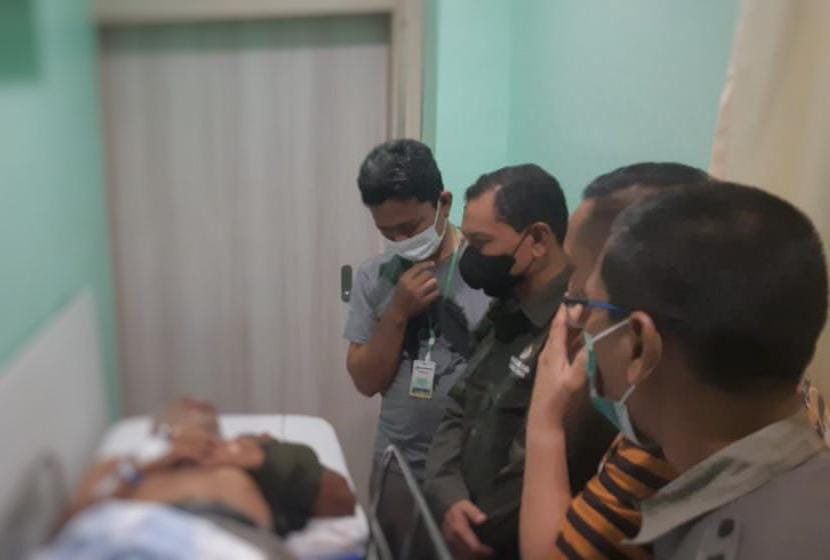 Seorang Dokter Hewan di Terkam Harimau Sumatera, Begini Kronologinya