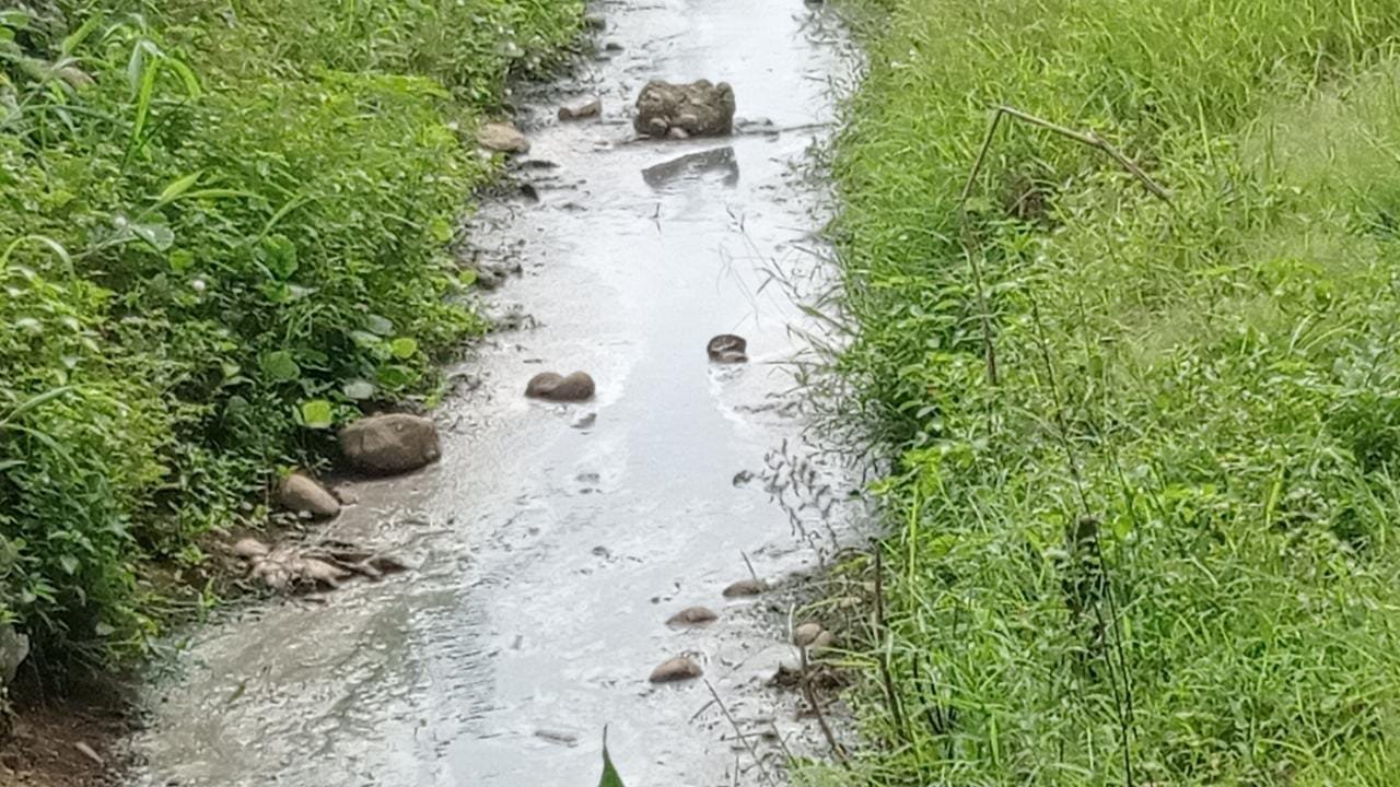Pabrik Tahu Tempe di Tanjung Selamat Buang Limbah ke Parit, Lurah Sering ke Lokasi