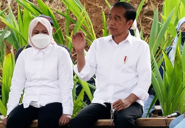 Usulan TNI/Polri Tugas di Kementerian, Presiden Sebut Belum Mendesak