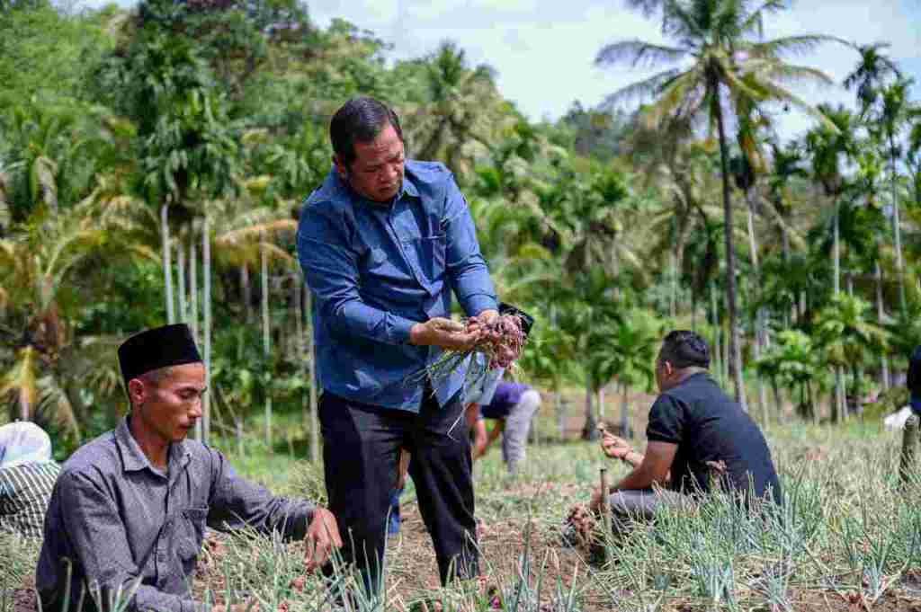 Data BPS Sidempuan Alami Deflasi Harga 0,31 Persen