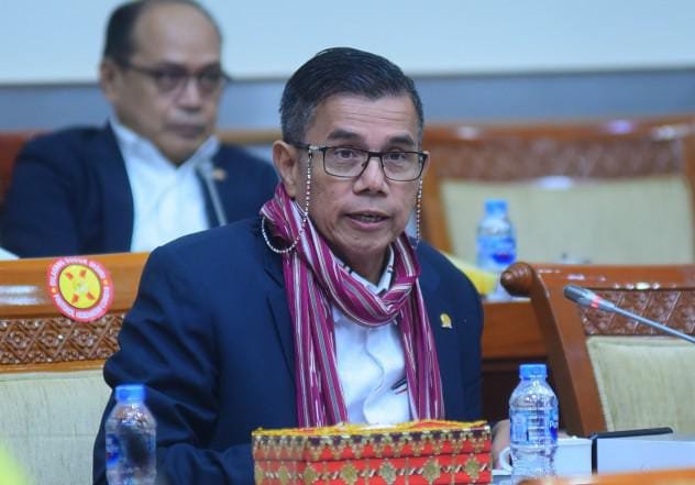 Hinca Panjaitan Apresiasi Pemerintah Akomodir Kebebasan Pers di KUHP