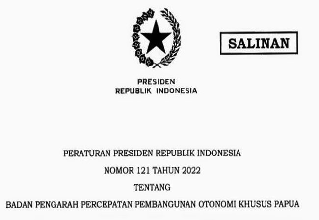 Wapres Ketuai Percepatan Pembangunan Otsus Papua