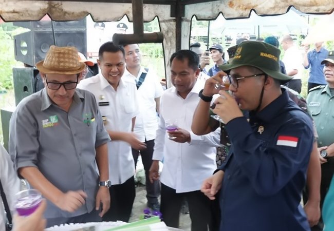Bupati: Sergai Targetkan Jadi Lumbung Padi Nomor 1 Provinsi