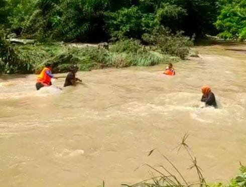 Diduga Hanyut, Seorang Pria Bargot Topong Sidempuan Dalam Pencarian