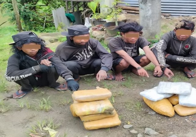 Diduga Miliki Ganja 14Kg, 6 Orang Dibekuk Polres Sidempuan