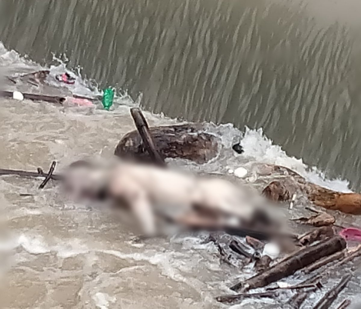 Sosok Mayat Ditemukan di Bendungan Siloting, Diduga Korban Hanyut Warga Bargottopong