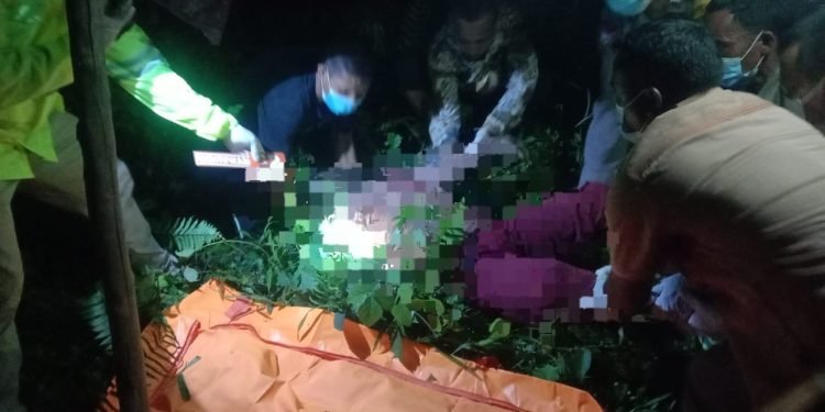 Geger! Mayat Wanita Di Paluta Ditemukan Di Ladang Padi