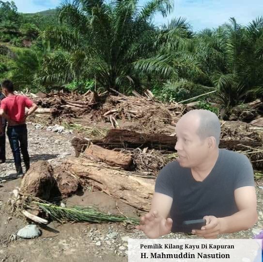 Bekingi Illegal Logging di Tapsel, Pemilik Kilang Kayu di Kapuran Bantah Aseng Naga
