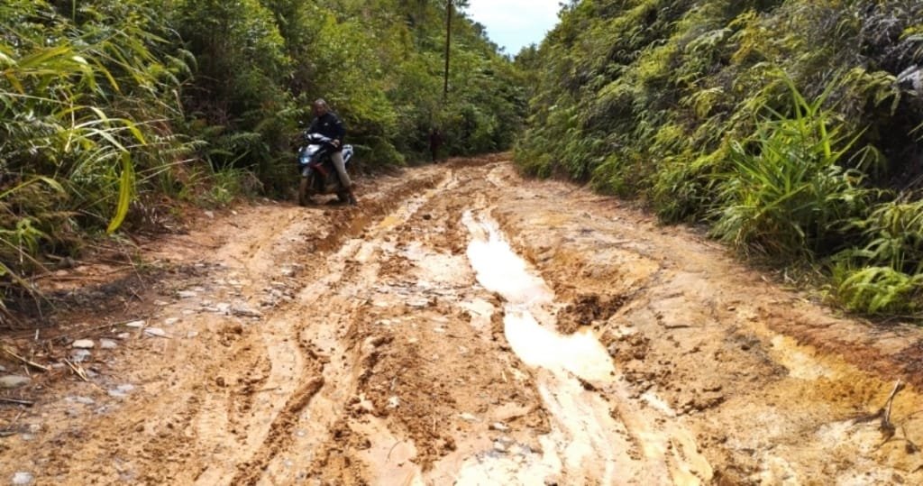 Miris! Puluhan Tahun Jalan Desa Mandalasena Tapsel Mirip Kubangan Kerbau