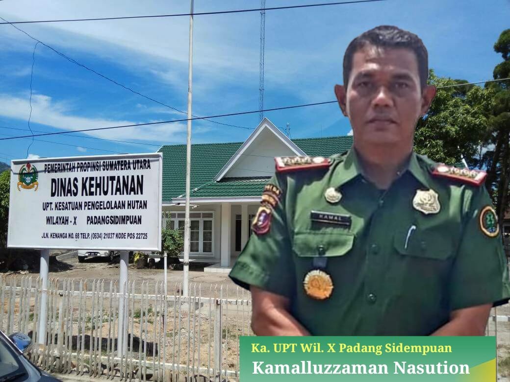 lllegal Logging Di Tapsel, Izin PT. PLS Habis Tidak Dicabut Tapi Ada Oknum Beroperasi