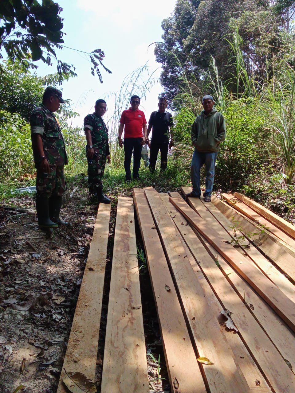 Bukti Nyata! TNI Dan HMB Temukan Kayu Illegal Logging Di Mosa Tapsel
