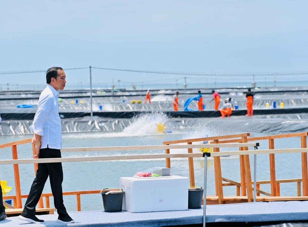 Resmikan Tambak Budidaya Udang di Kebumen, Presiden Minta Pengolahan Berbasis Modern