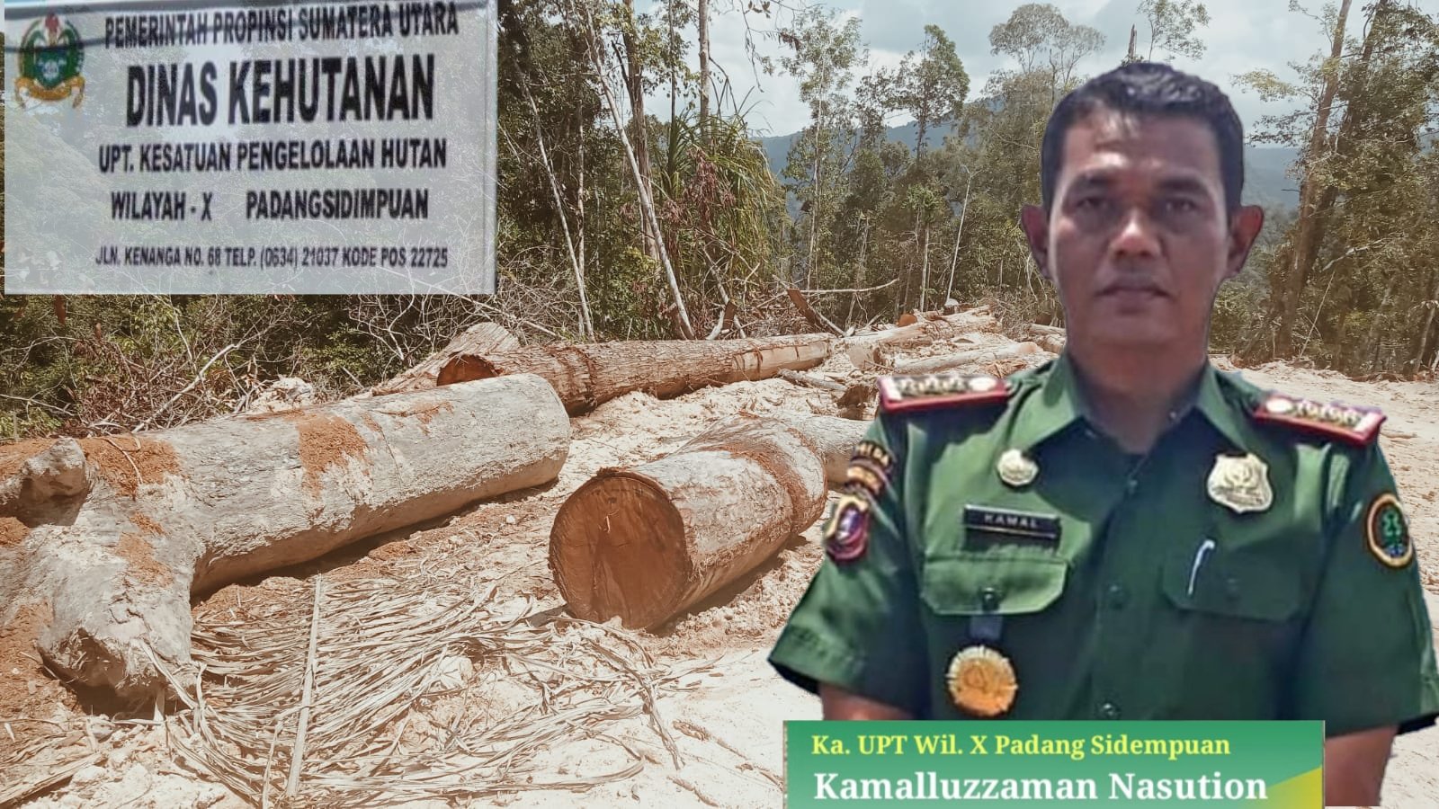 Marak Kayu illegal Logging Di Tapsel, Kinerja Kepala KPH X Psp Dinilai Tidak Ada Manfaat