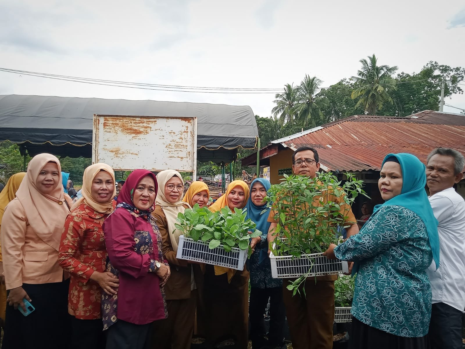 Tingkatkan P2WKSS, Dinas Ketapang dan TP-PKK Adakan Program Tanam Bibit Sayuran