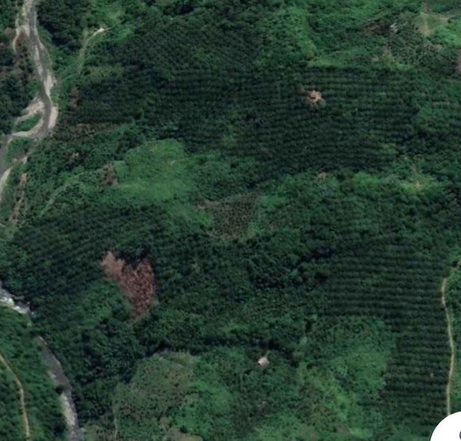 Kadis LHK Sumut Diminta Copot Jabatan Kamalluzzaman Di KPH Wil X