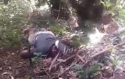 Geger! Mayat Pria Pejerat Babi Ditemukan Tewas di Kebun Salak