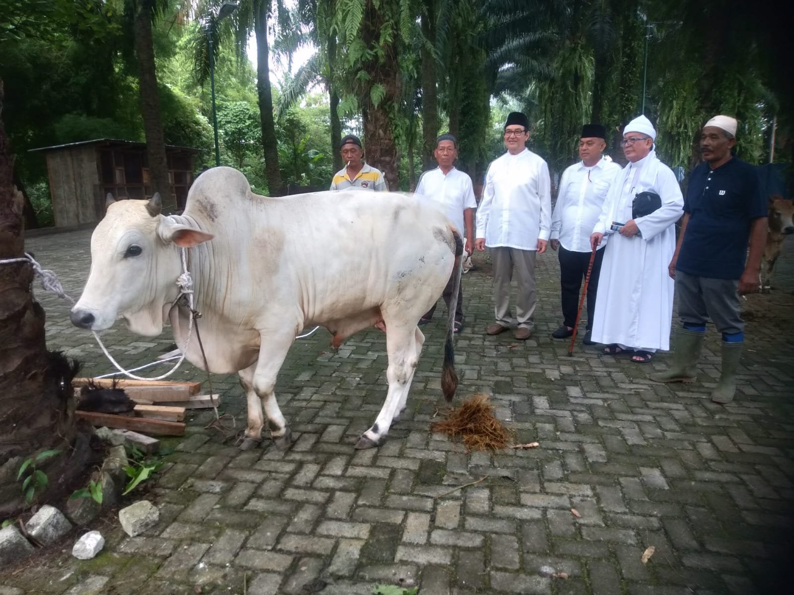 Masjid Al - Musabihin Tasbih Gelar Sholat Idul Adha 1444 Hijriah dan Sembelih Ratusan Hewan Qurban
