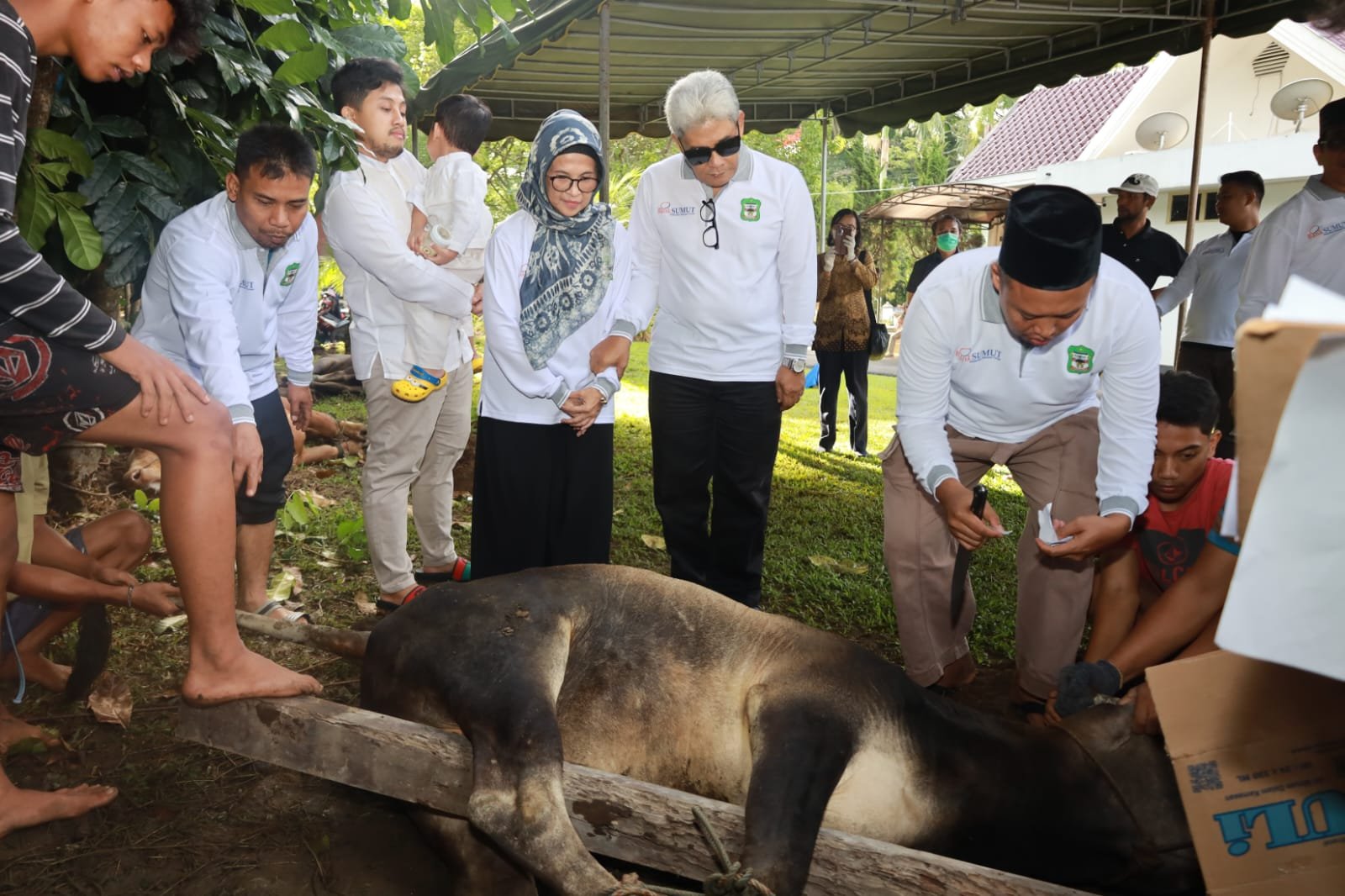 Pemko Siantar Kurban 9 Ekor Sapi Saat Hari Raya Idul Adha