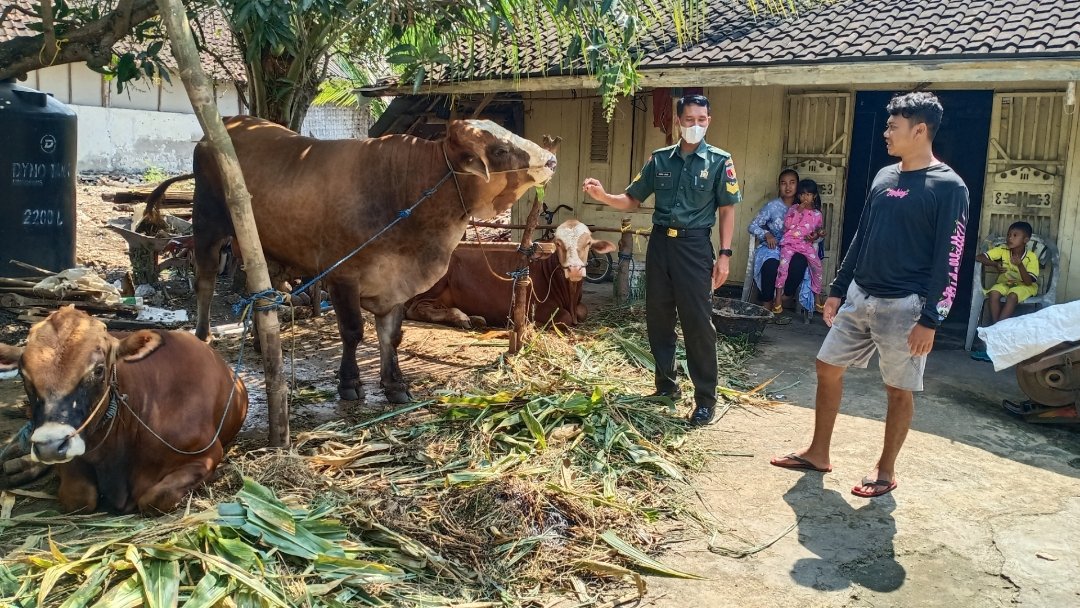 Babinsa Pantau PMK, Masyarakat Lamongan Diminta Waspada
