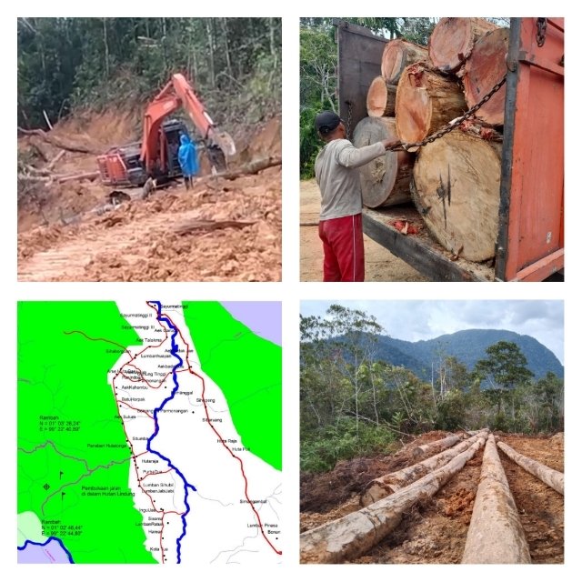 Lapor Pak Presiden! illegal Loging di Tapsel Masih Terjadi, Diduga APH Terkesan Tutup Mata
