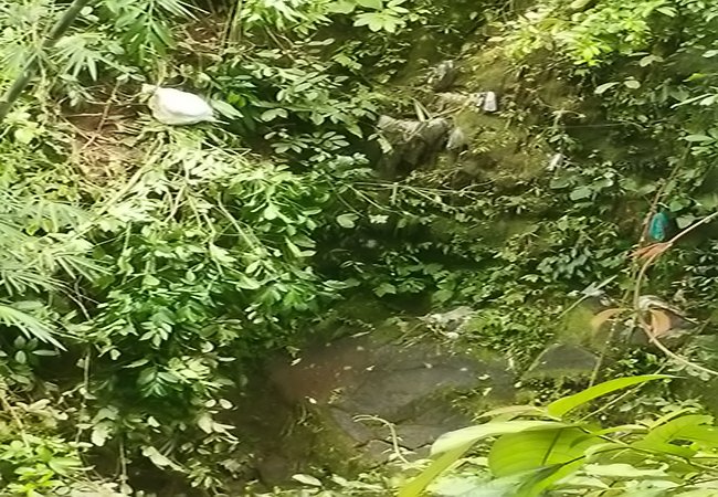 Mobil PAS Masuk Jurang, 2 Korban Belum Ditemukan