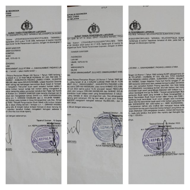 Aneh! Korban Pencurian Sawit di Paluta Malah Jadi Tersangka, Begini Ceritanya