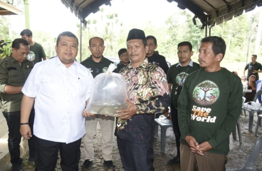 Bupati Tapsel Serahkan Bibit Pohon dan Benih Ikan di Kecamatan Sipirok