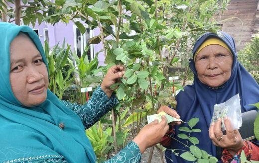 Tanaman Obat Keluarga PKK Desa Sipangko sumber kesehatan warga