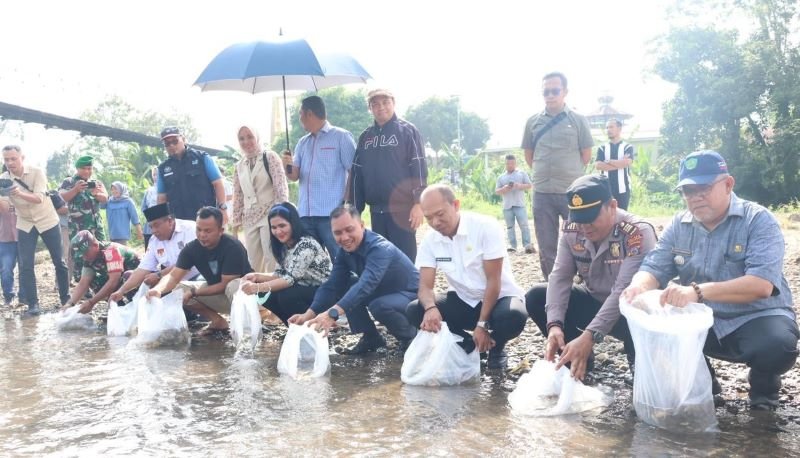 Bupati Tapsel Tebar Benih Ikan Nila di Muara Purba Nauli dan Sori Manaon