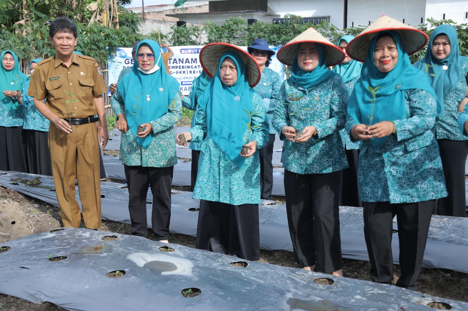 TP-PKK Asahan Ikut Gerakan Tanam Cabai Serentak
