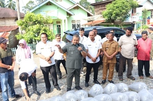 Tebar Ribuan Ikan, Bupati Tapsel Berharap Hidupkan Ekonomi Masyarakat