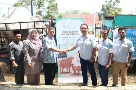 Jelang Idul Adha, PT NSHE Serahkan Sapi Ke 5 Kecamatan di Tapsel