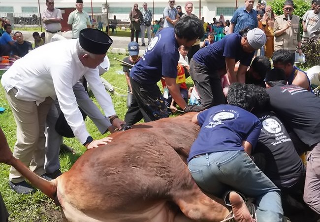 Idul Adha 1445 H, Gerindra Sumut Salurkan 1200 Paket Qurban