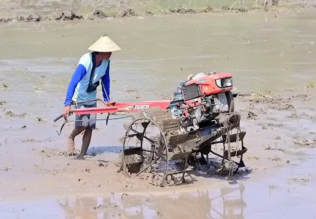 Pemerintah Akan Salurkan Mesin Pompa Cegah Potensi Kekeringan Panjang