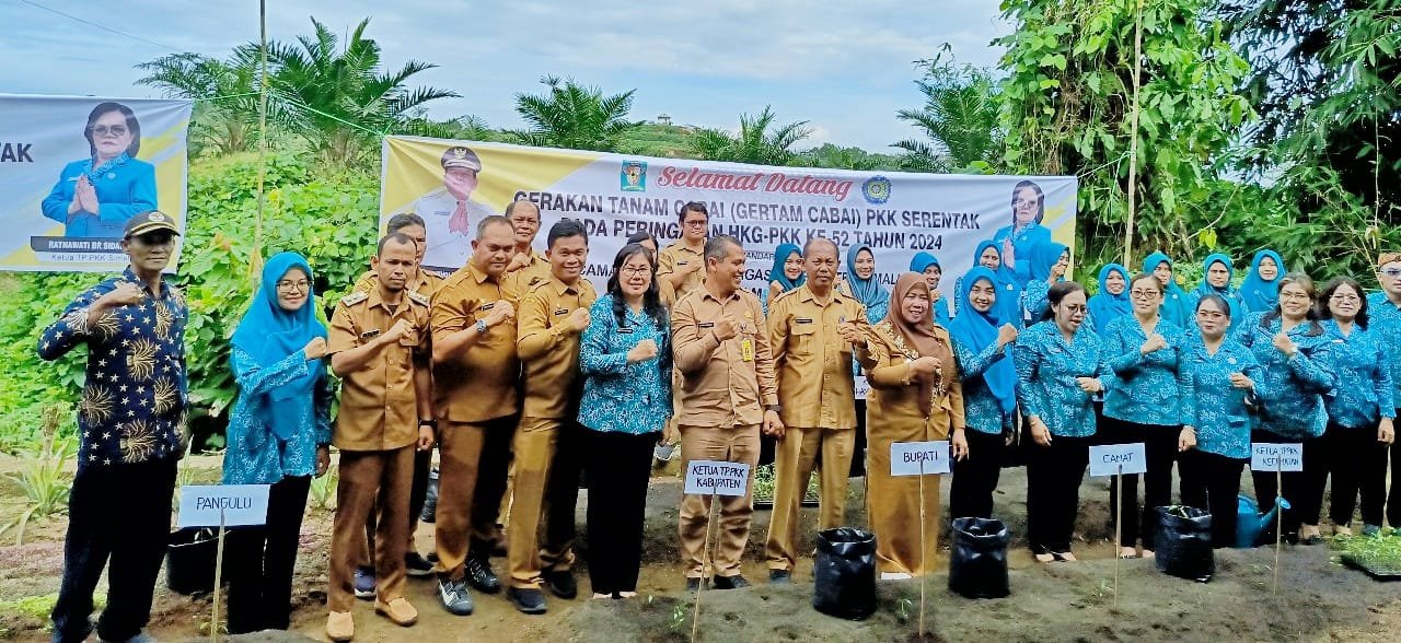 Dalam Rangka HKG PKK Ke-52, TP PKK Ikut Gertam Cabai Serentak Nasional