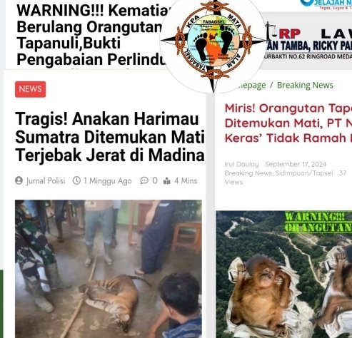 Satwa Lindung Mati Terus Berulang, Pengawasan BBKSDA Wilayah lll Sidimpuan Dinilai Lemah