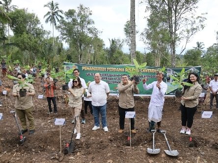Wujud Penataan Akses Tanah Ulayat, Wamen ATR/ BPN Tanam Pisang di Jembrana