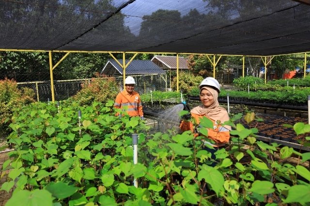 Agincourt Resources Kembali Raih PROPER Hijau dari Kementerian Lingkungan Hidup